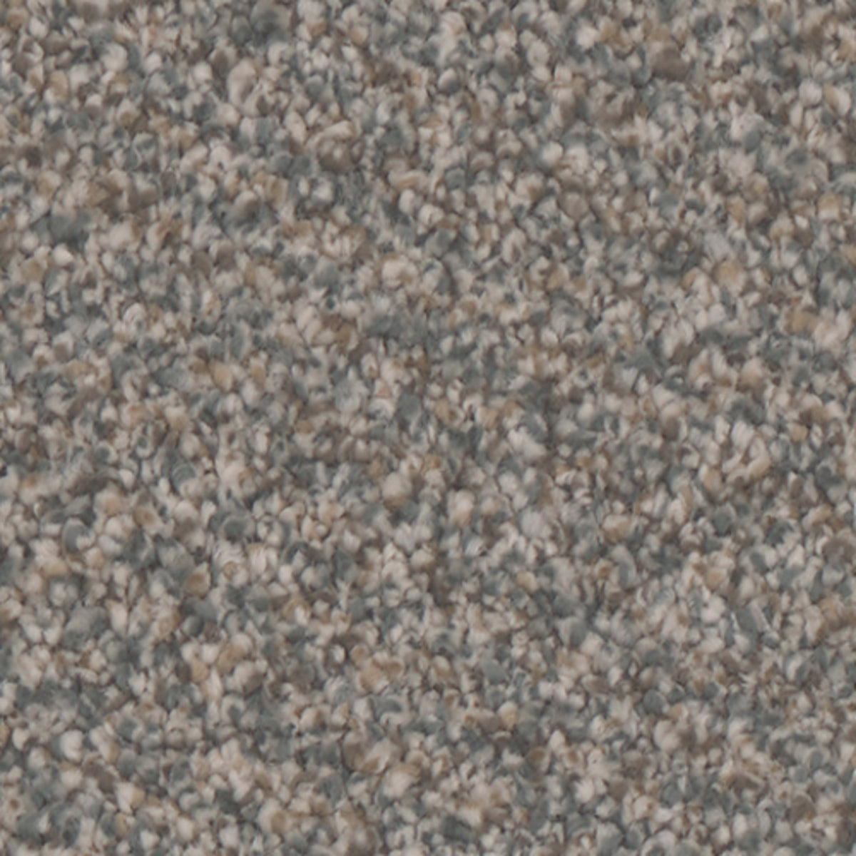 Summerland in Epic Carpet
