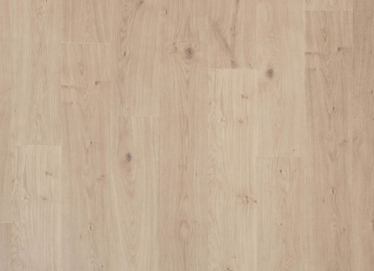 Transom in Monument Grey Oak