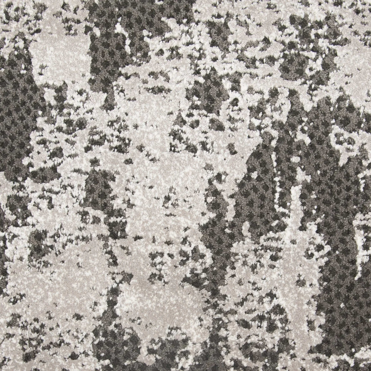 Motion in Caviar Carpet