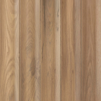 Wall - Moderne - Moyen Courbe in Natural Hardwood