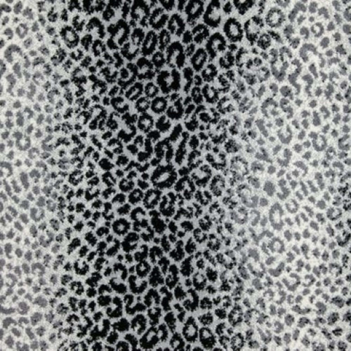 Mufasa in Panda Carpet