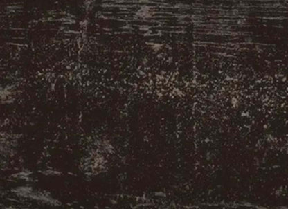 Muskoka in Charred