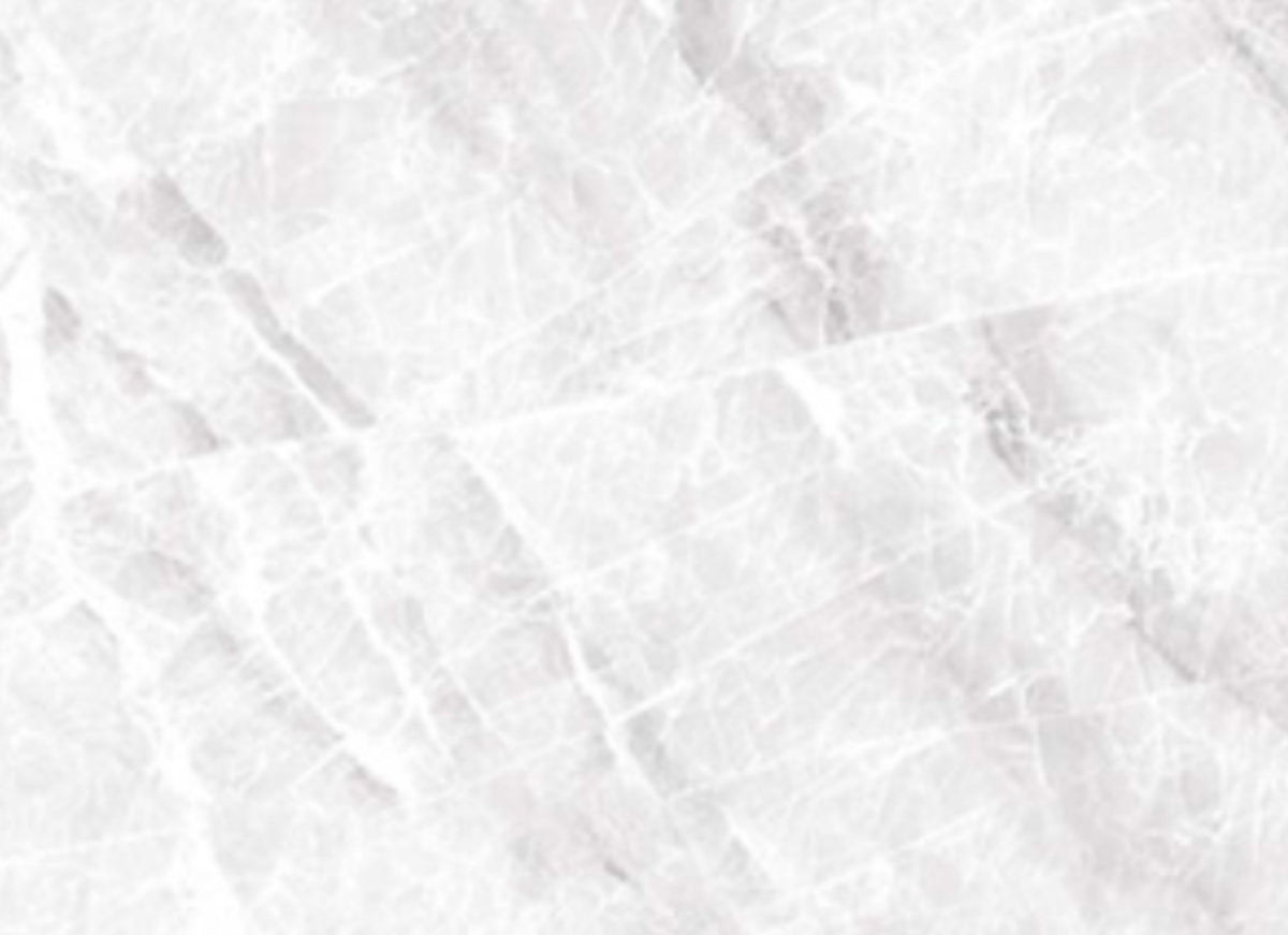 Nambia in Polished White 12x24