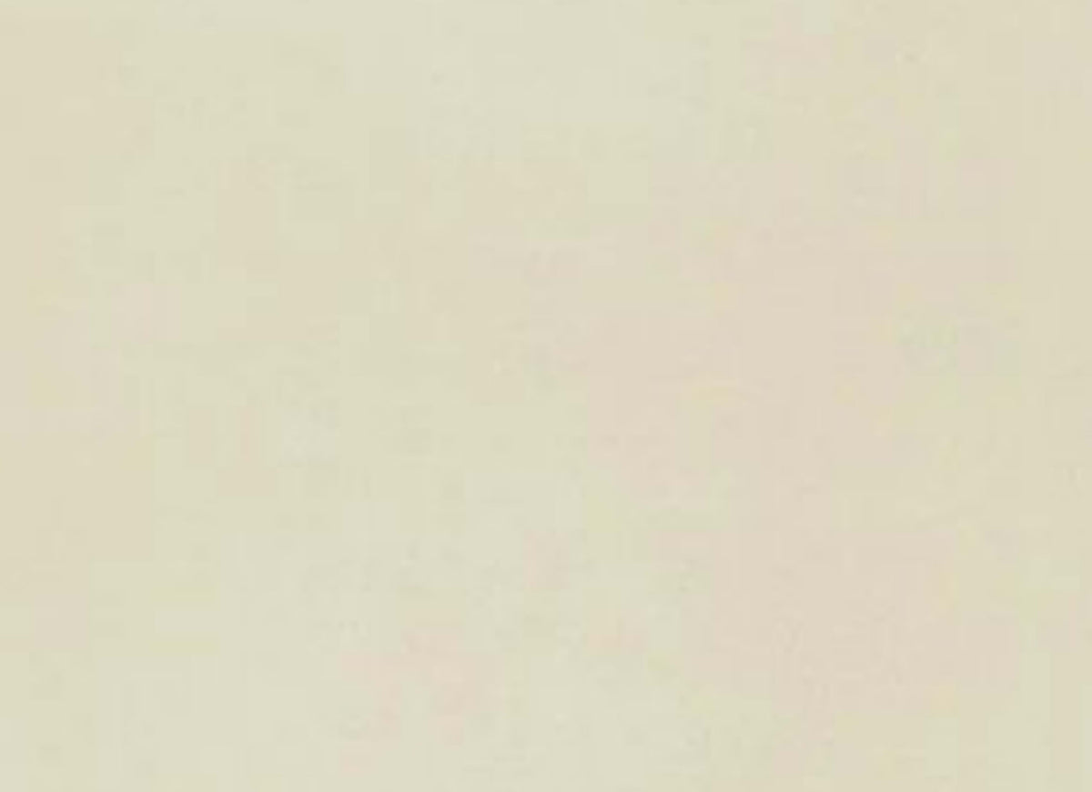 Neoconcrete in White-12x24-Matte