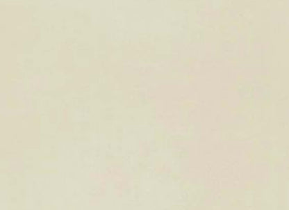 Neoconcrete in White-12x24-Matte