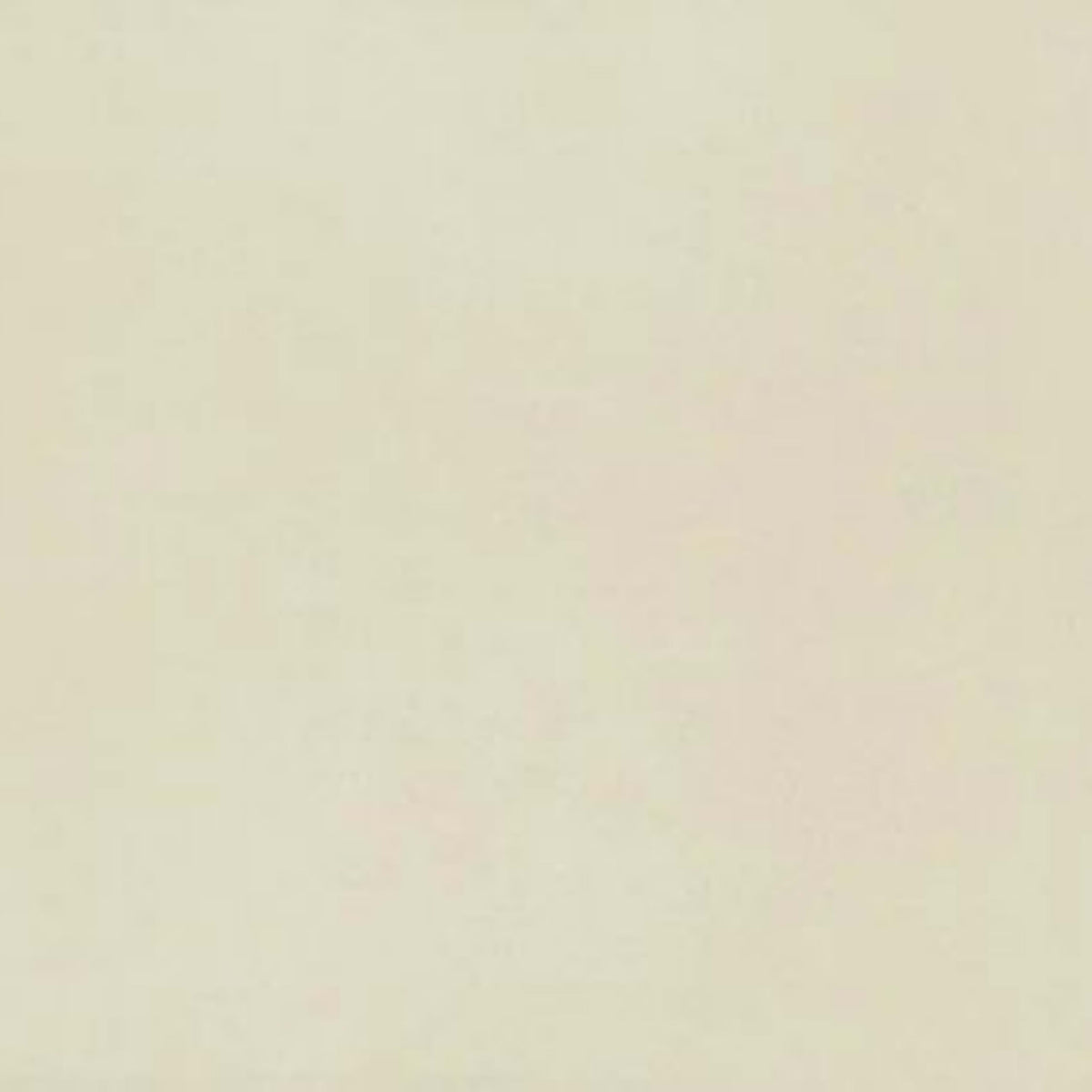 Neoconcrete in White-12x24-Matte Tile
