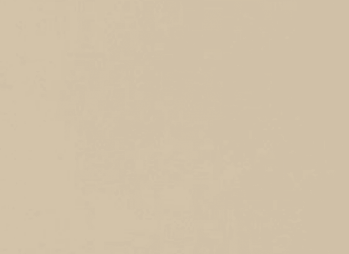 Neoconcrete in Beige-24x24-Light Polished