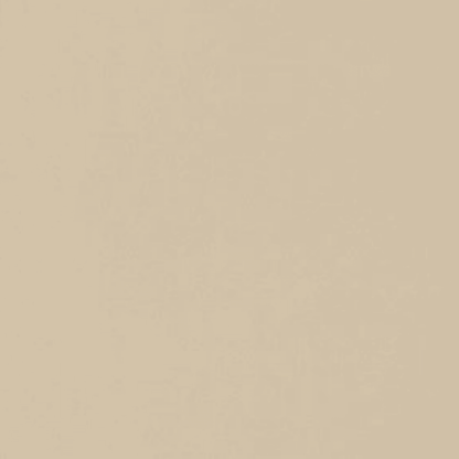 Neoconcrete in Beige-12x24-Light Polished Tile
