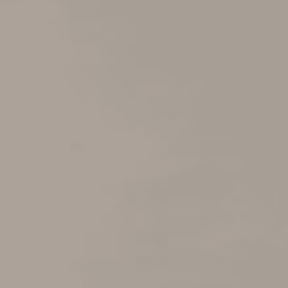 Neoconcrete in Light Gray-24x24-Light Polished Tile