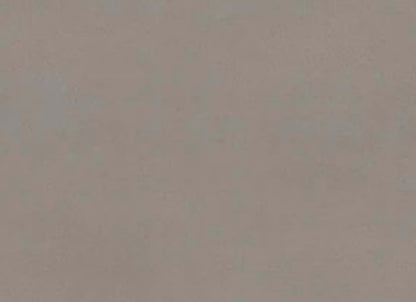 Neoconcrete in Medium Gray-12x24-Light Polished