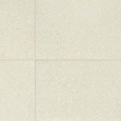 Neospeck in White-12x24-Matte Tile