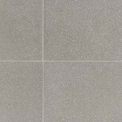 Neospeck in Light Gray-12x24-Light Polished Tile