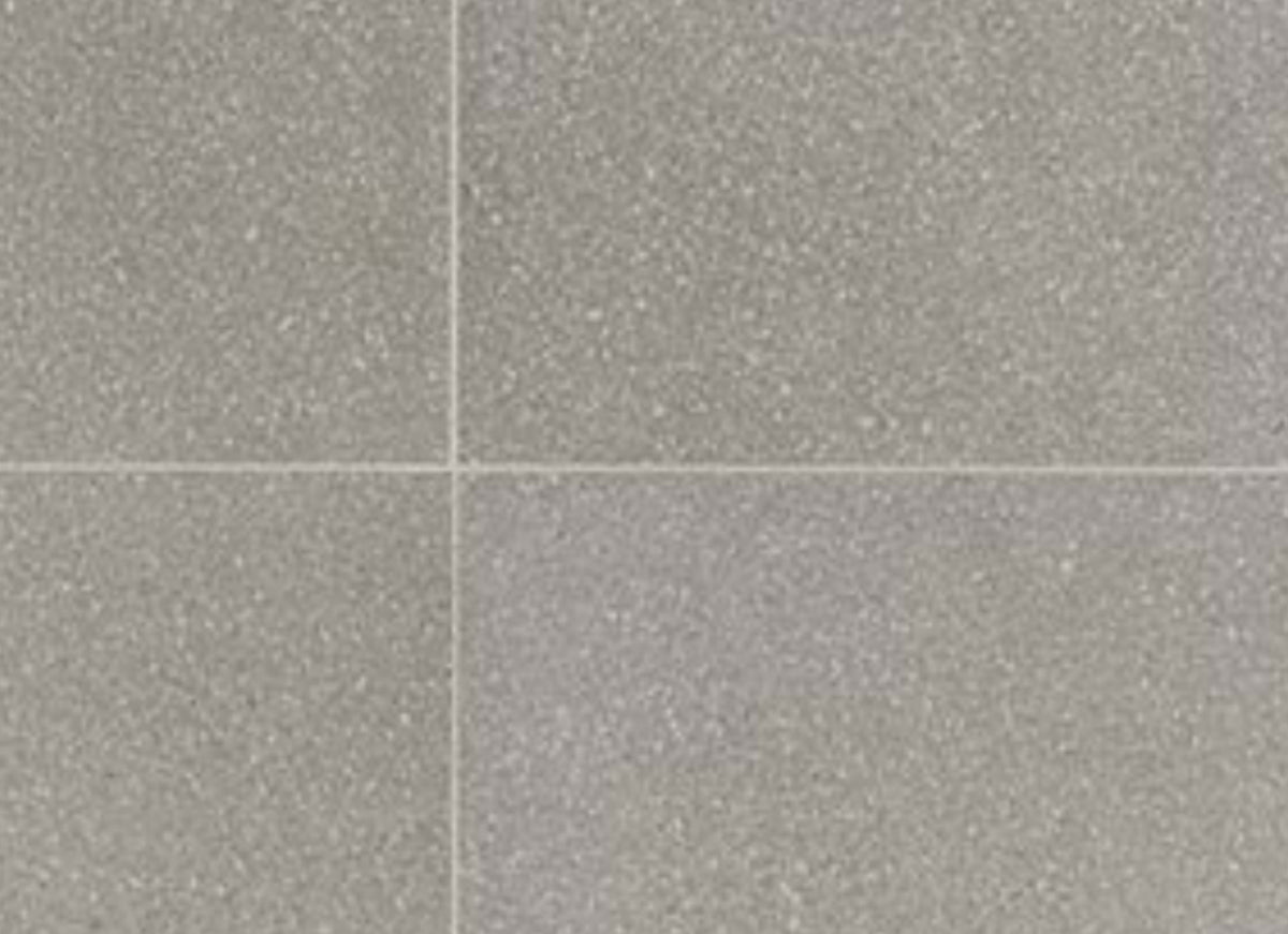Neospeck in Light Gray-12x24-Light Polished