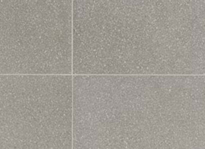 Neospeck in Light Gray-12x24-Light Polished
