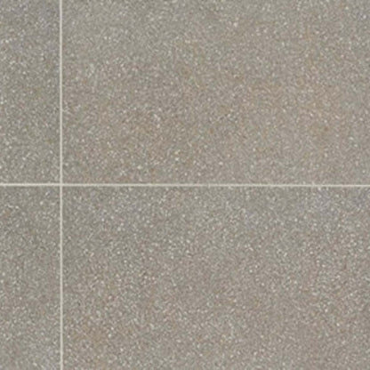 Neospeck in Medium Gray-12x24-Light Polished Tile