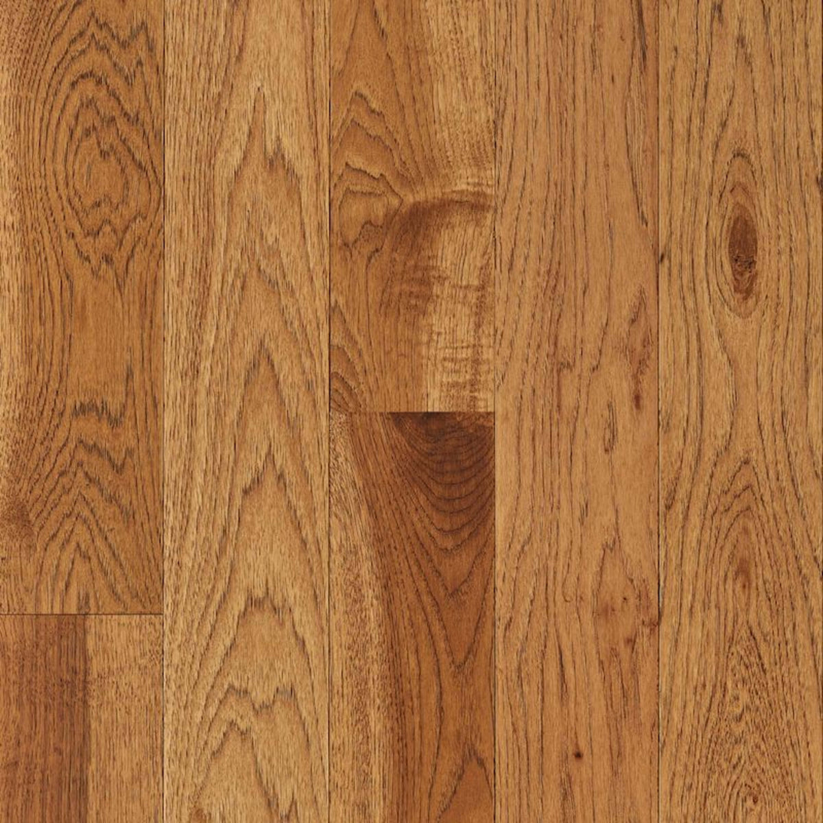 Natural Forest Hickory Solid in Suede Brown 3.25" Hardwood