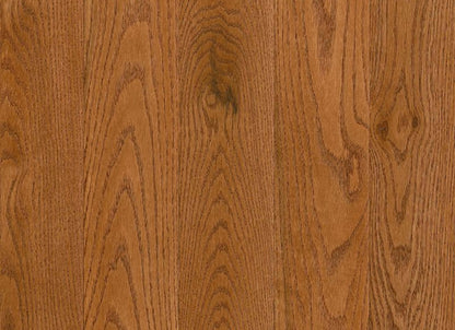 Natural Forest Oak Solid in Gunstock 3.25"