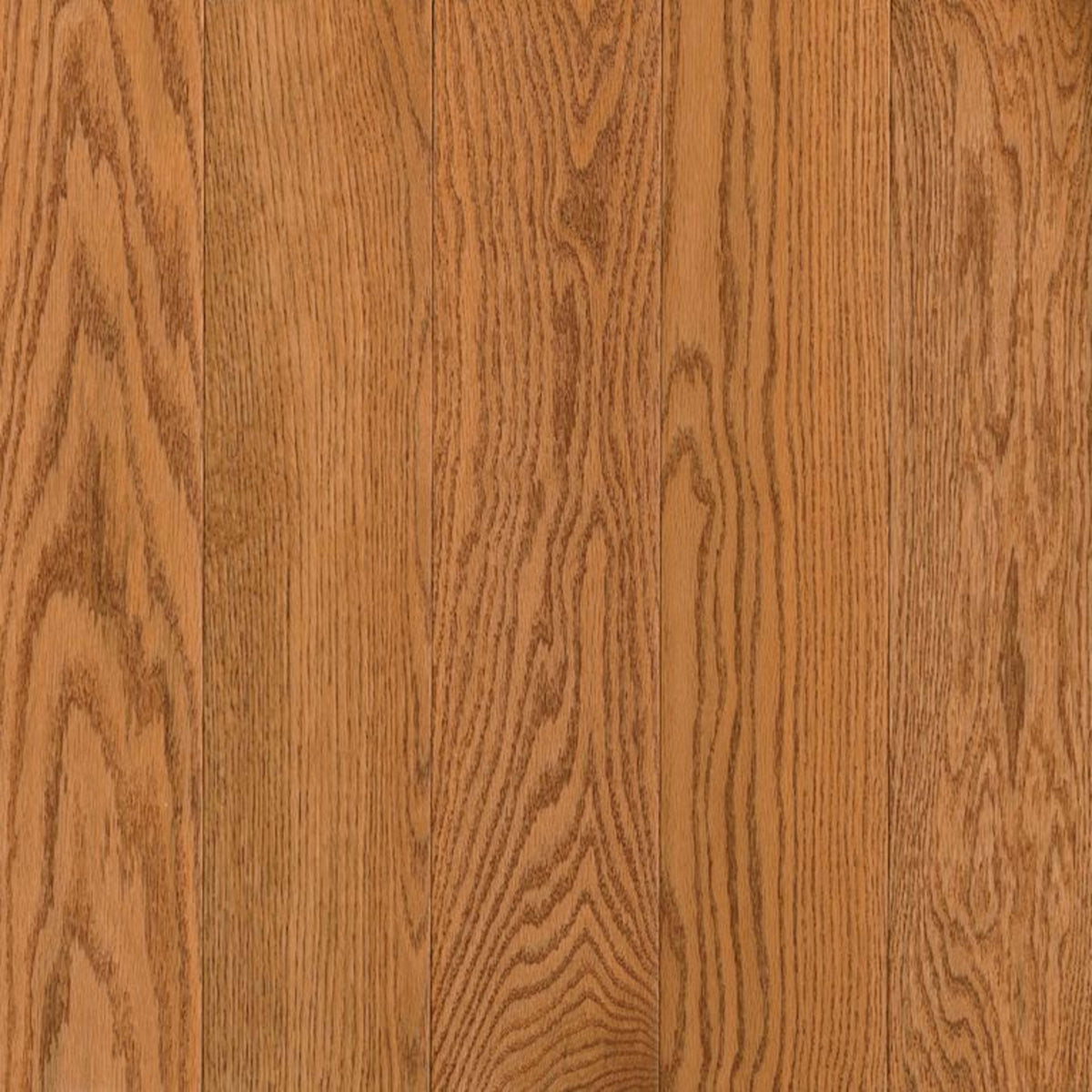 Natural Forest Oak Solid in Butterscotch 3.25" Hardwood
