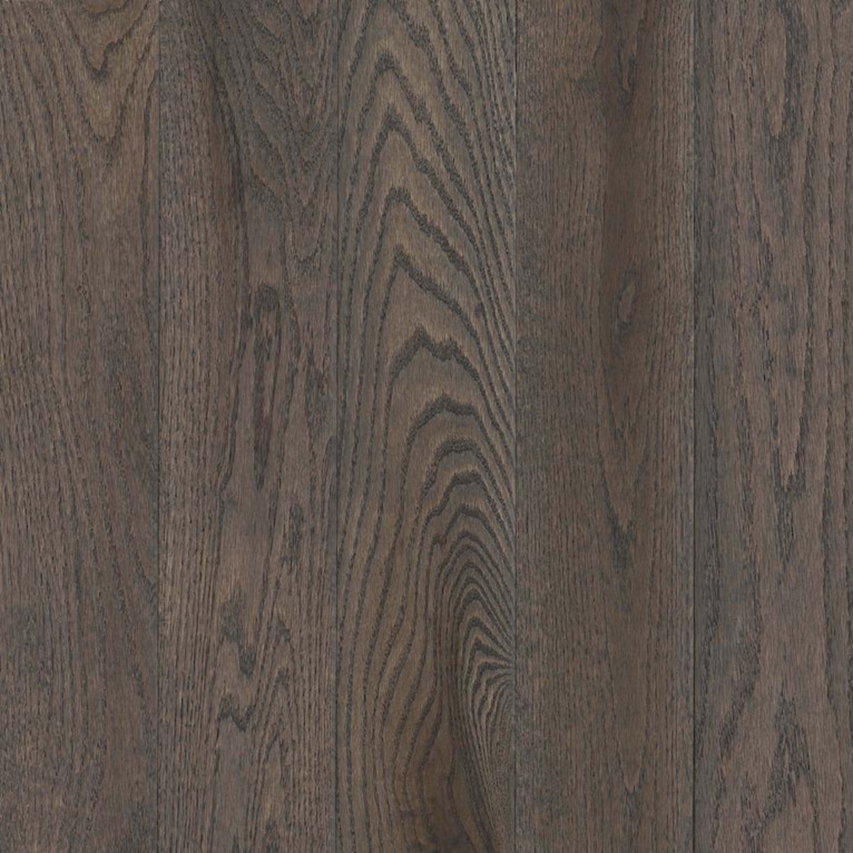 Natural Forest Oak Solid in Nickel Gray 3.25" Hardwood