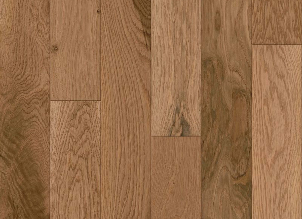 Natural Forest Oak Solid in Natural 4"