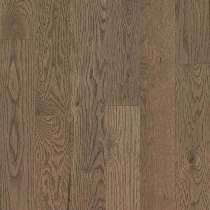 Natural Forest Oak Solid in Tree Top 4" Hardwood