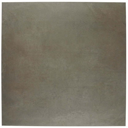 Notorious in Leading Man 12"x24" Unpolished Tile