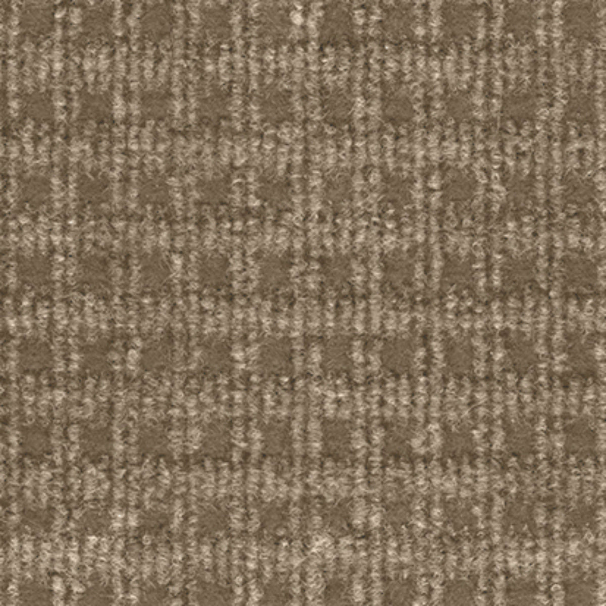 Naples in Caramel Carpet