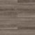Visions in Nelson Laminate