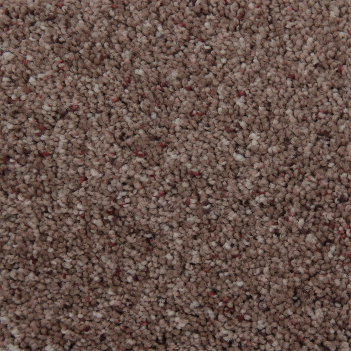 Newport in Weathered Taupe Carpet