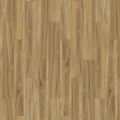 Innovious - Perceptions in Nol Elm Luxury Vinyl