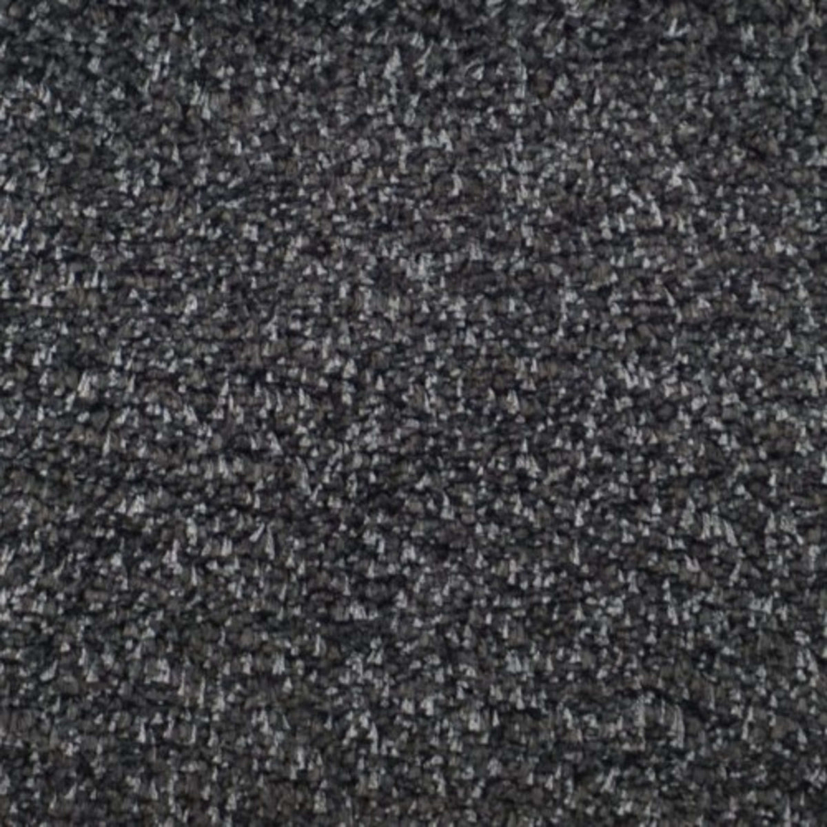 Nouveau in Spartan Carpet
