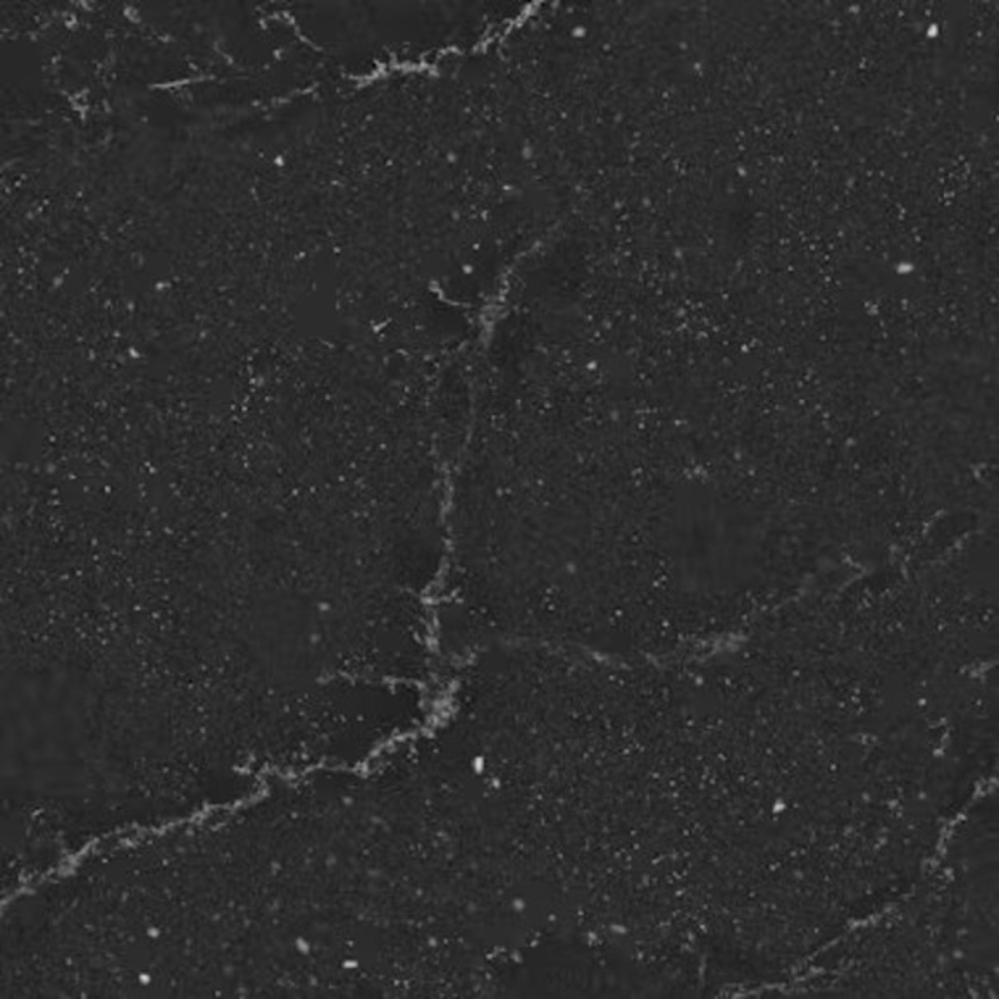 Silestone - Le Chic in Romantic Ash Solid Surface – DesignCo
