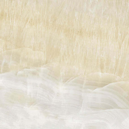 Onyx Ostra in Ivory Tile