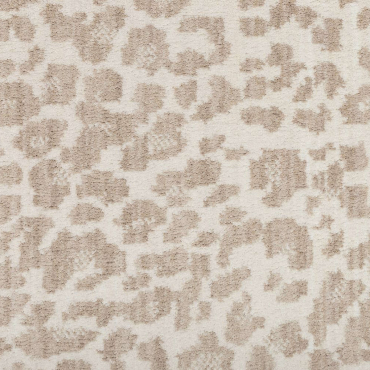 Savanna Leopard