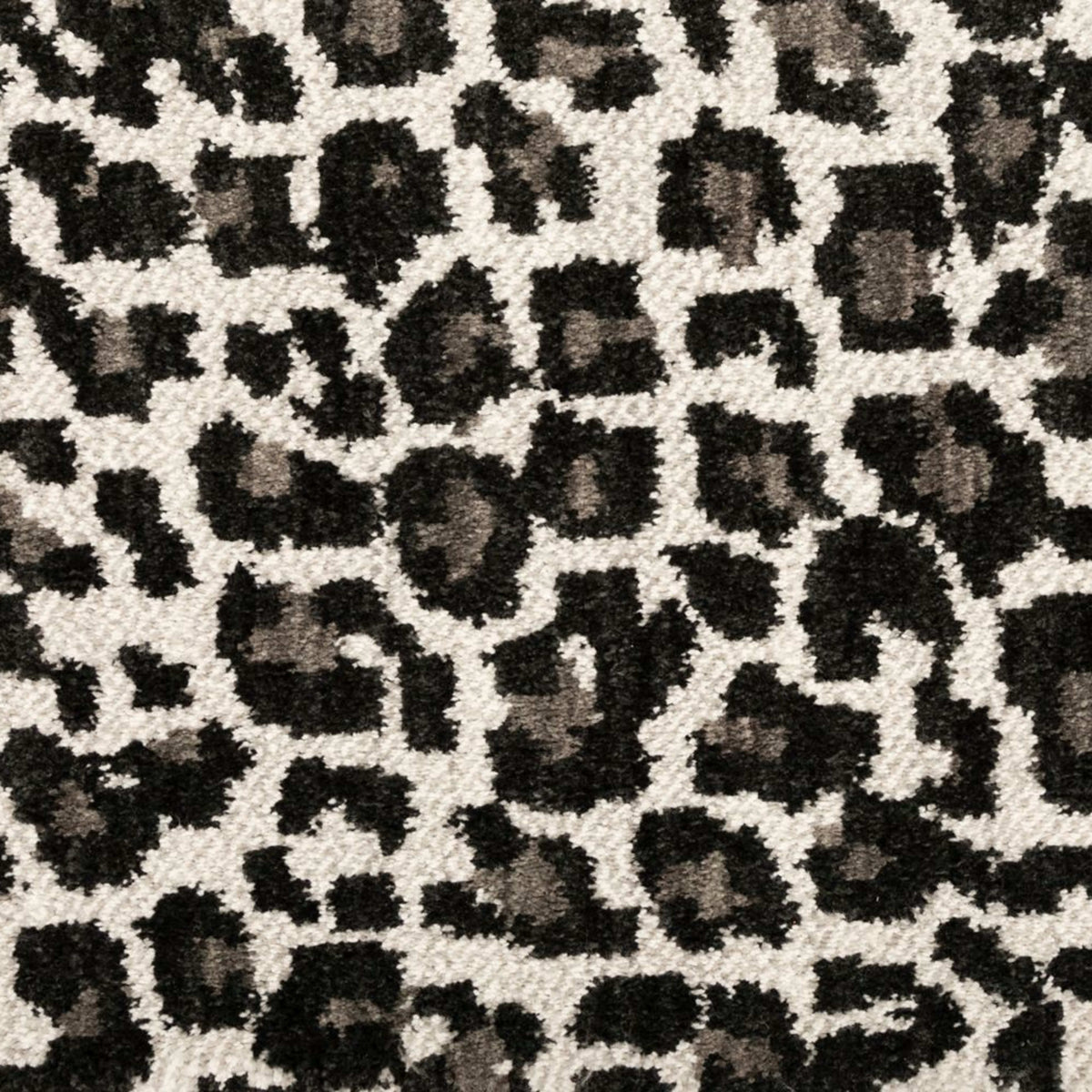 Savanna Leopard