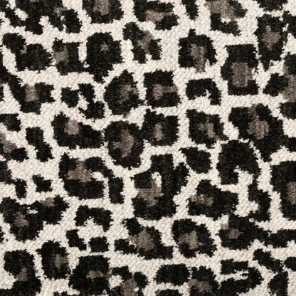 Savanna Leopard