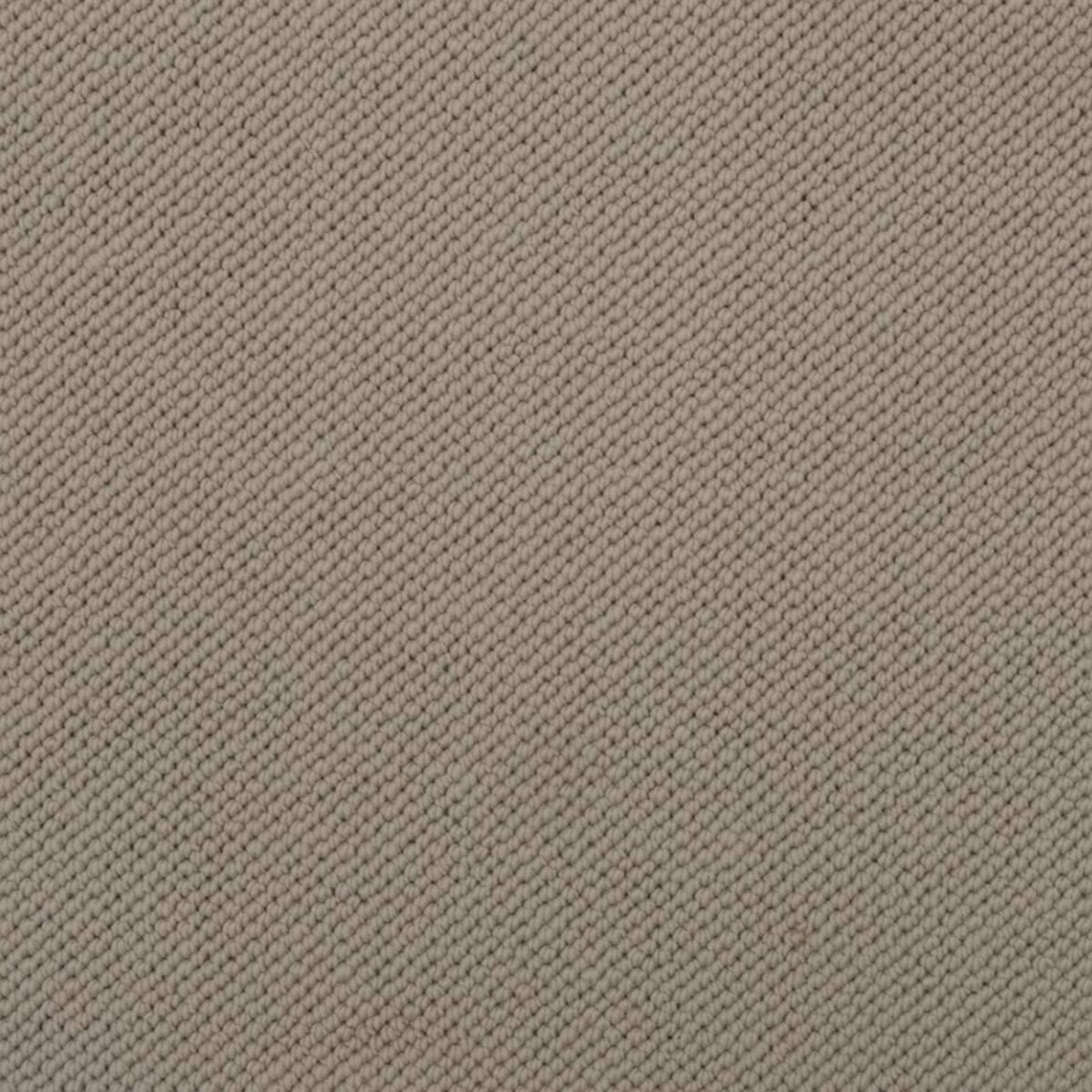 Merino Dreams