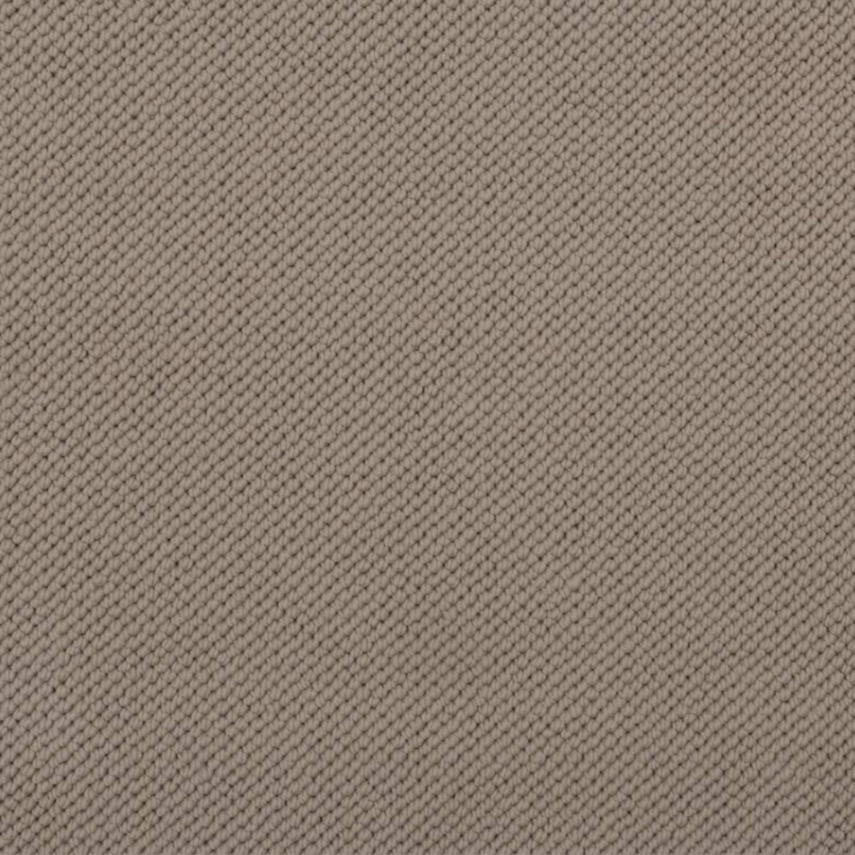 Merino Dreams