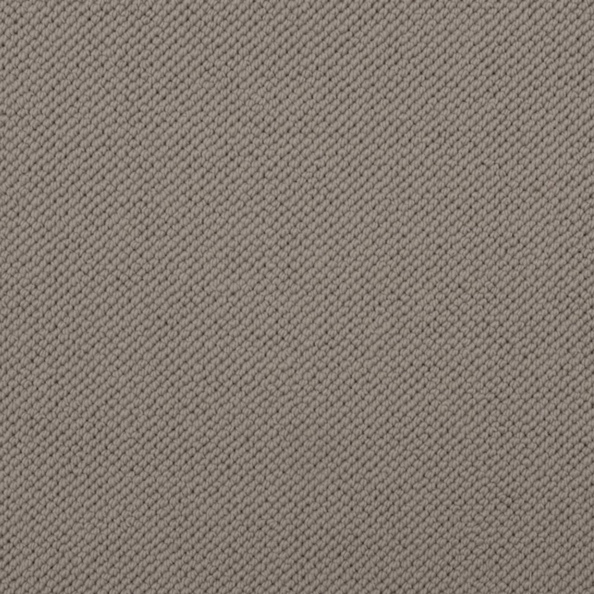 Merino Dreams