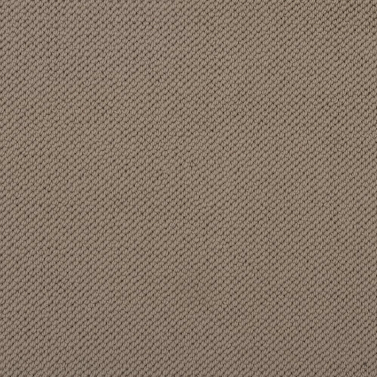 Merino Dreams