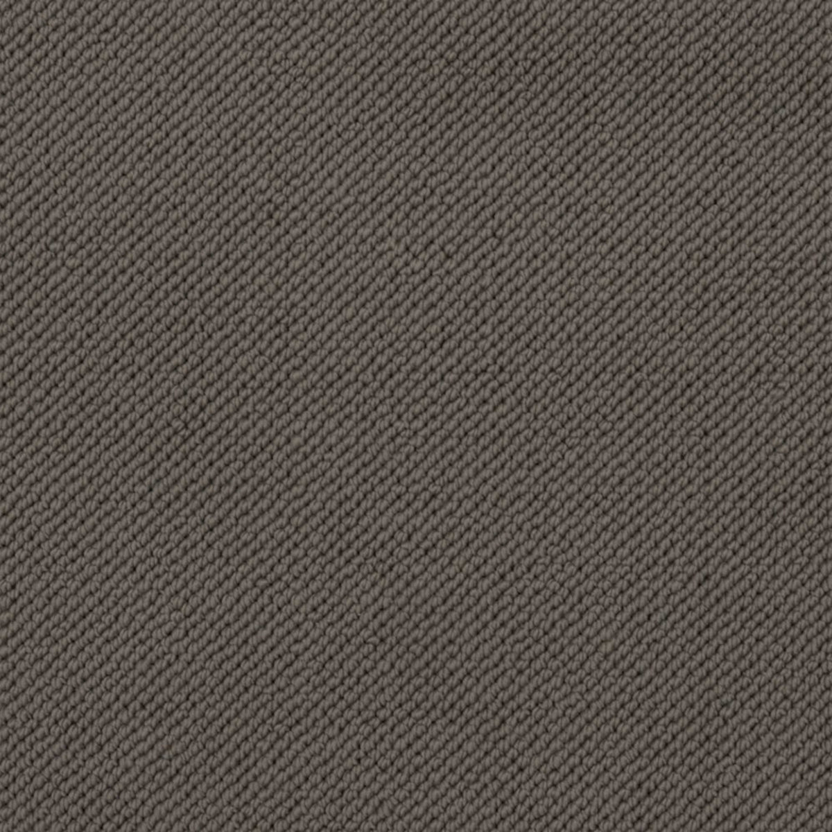 Merino Dreams