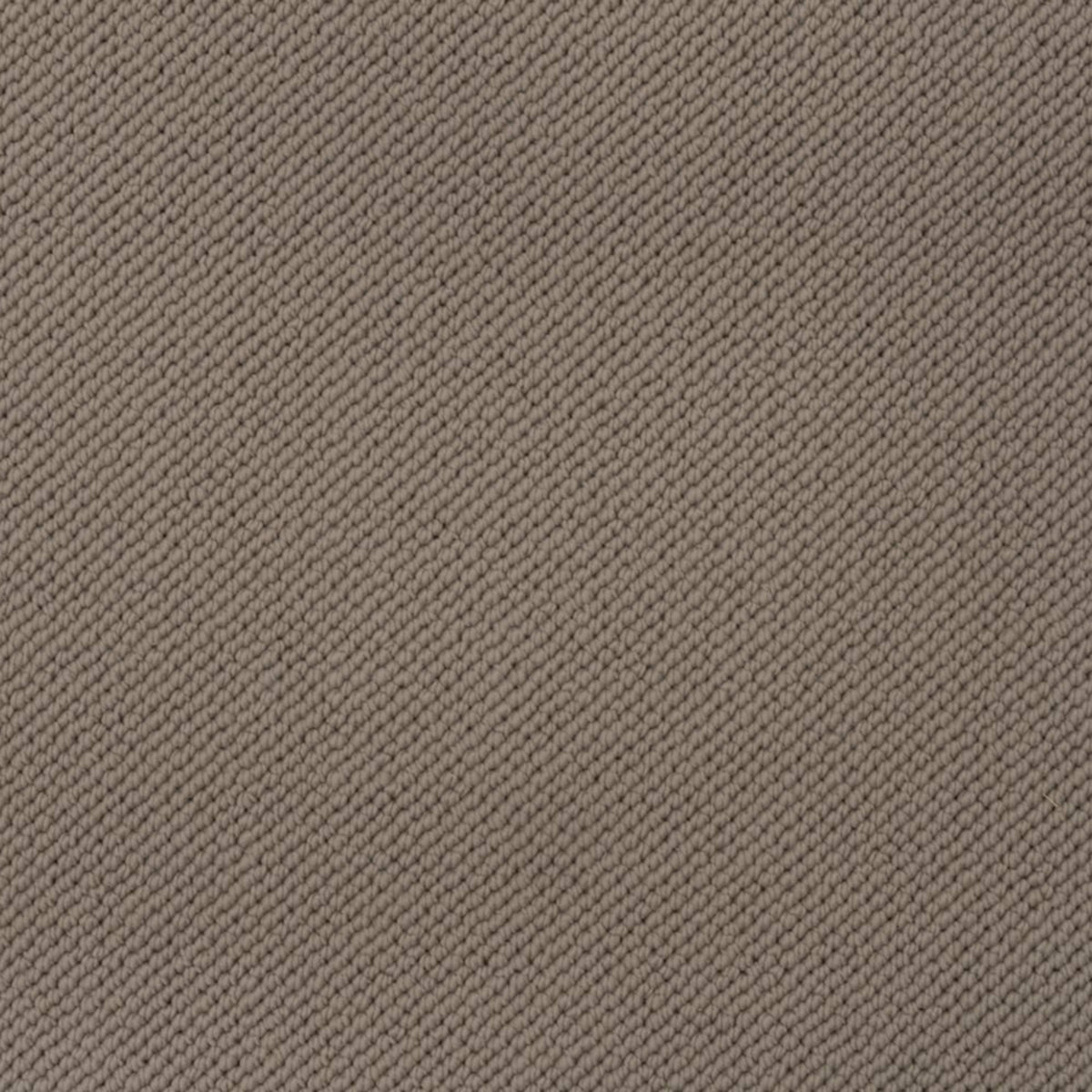 Merino Dreams in Retreat Carpet