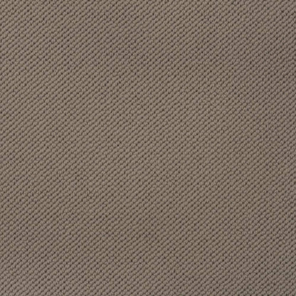Merino Dreams in Retreat Carpet