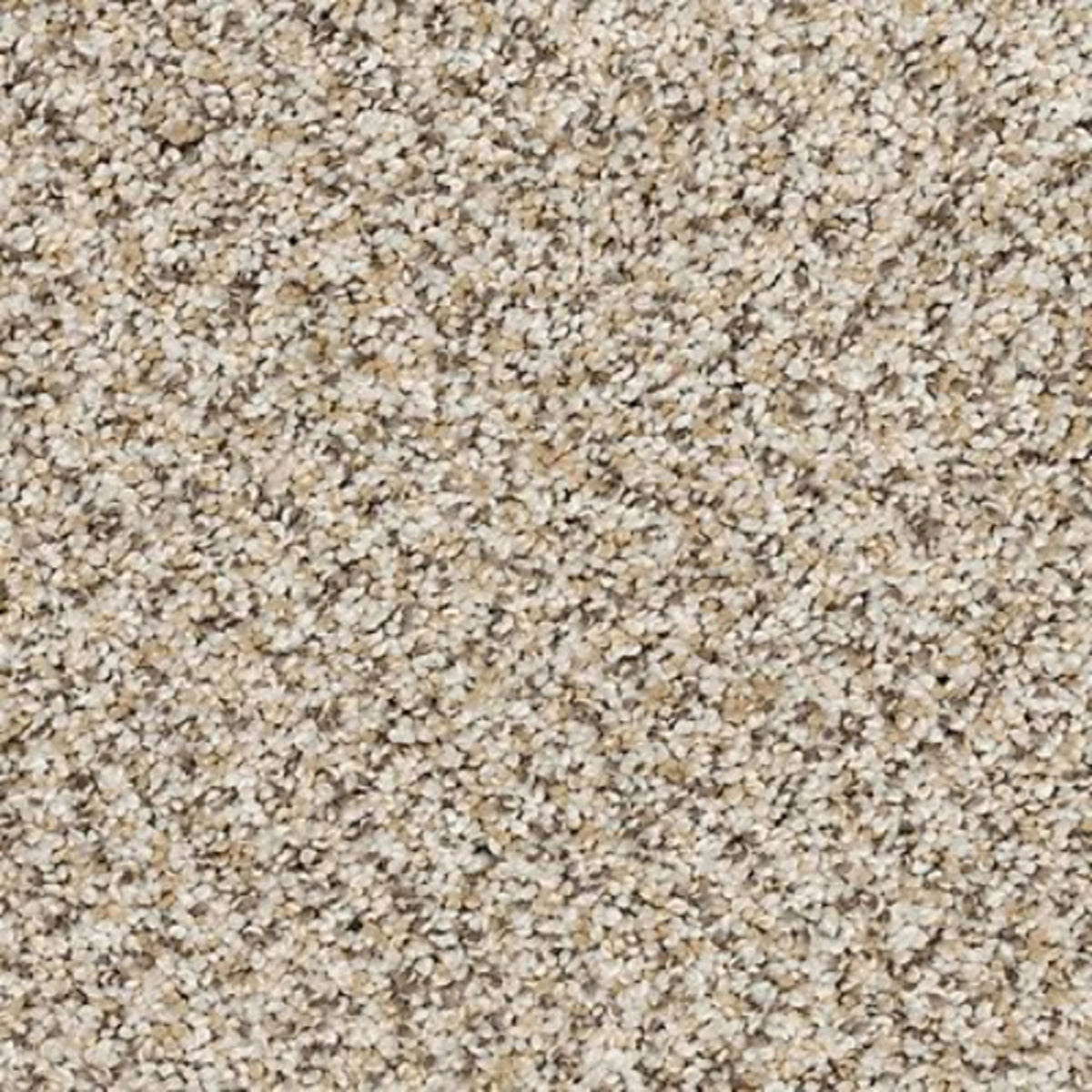 Canine Luxe in Fawn Carpet
