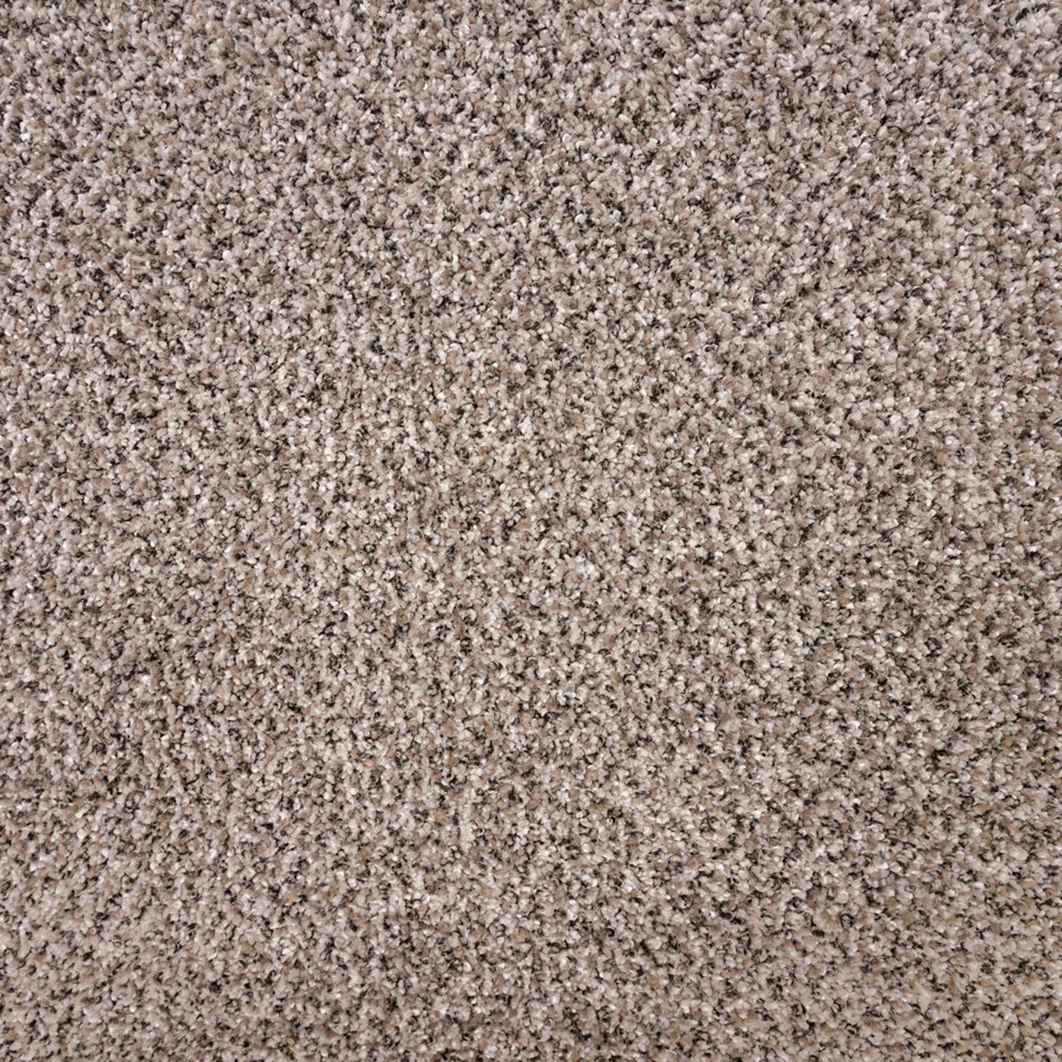 Rustic Edge I in Rocky Coast Carpet