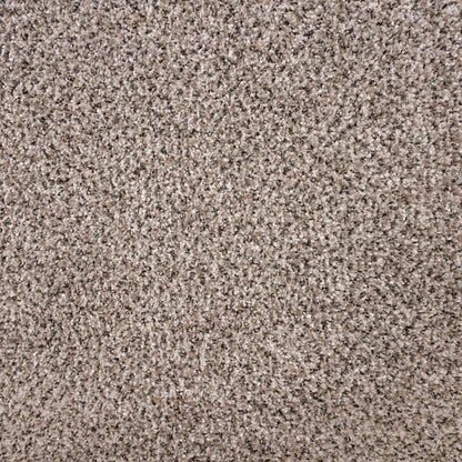 Rustic Edge I in Rocky Coast Carpet