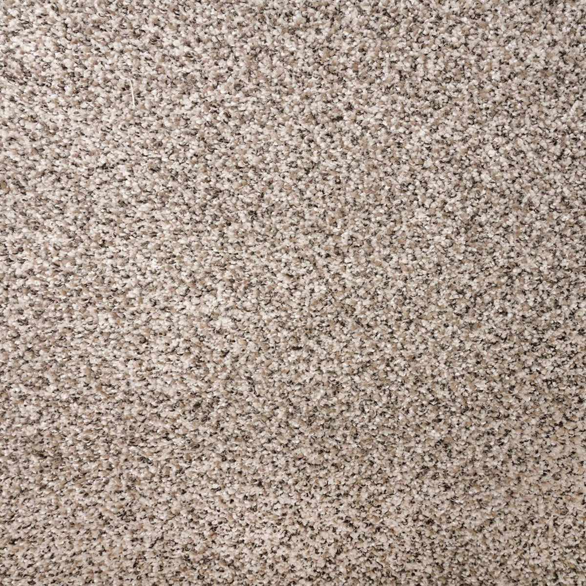 Rustic Edge II in Weathered Grey Carpet