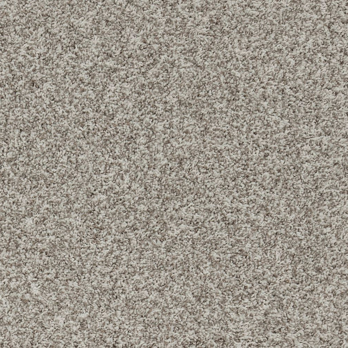 Aurelia in Sunwashed Stone Carpet