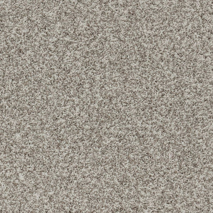 Aurelia in Sunwashed Stone Carpet
