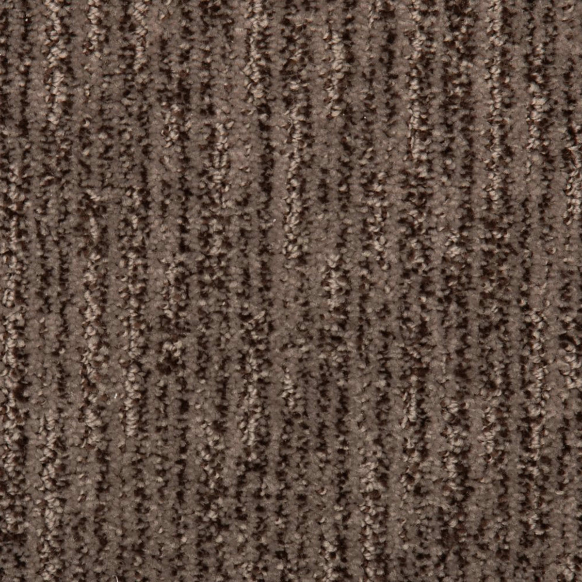 Sheer Innovation II in Truffle Carpet